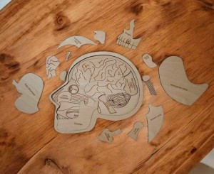 DREWNIANE PUZZLE EDUKACYJNE GŁOWA